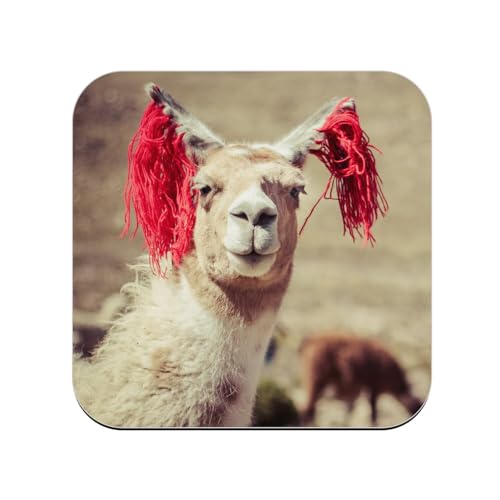 sous Verre en Bois - Photo de Lama au Pérou Rubans Décoration Traditionnels Cultures - 1 unité (95 x 95 mm)