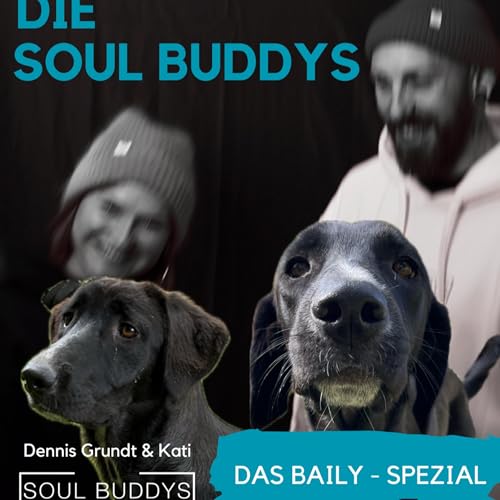 #014 DAS BALILY SPEZIAL - Pflegehundvorstellung