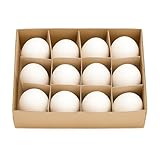 Deko Gänseeier | 12 Stück | Ausgeblasen & Gereinigt