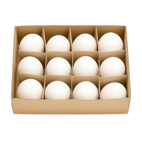 NaDeco Gänseeier groß 12 Stück | Echte ausgeblasene Ostereier weiß 7–9 cm Ø 4–5 cm | Zum Bemalen & Basteln | Mit Öffnung für Drahtaufhänger | Nachhaltige Osterdeko Natur | DIY Eier Osterstrauchㅤ