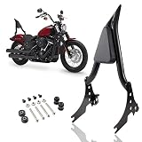Yolpoco Rear Passenger Sissy Bar Backrest Detachable Sissy Bar for 2004-2023 Harley Sportster XL XLH