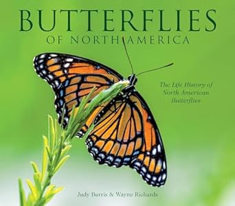 Butterflies of North America