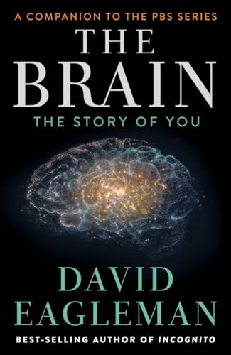 The Brain view 2