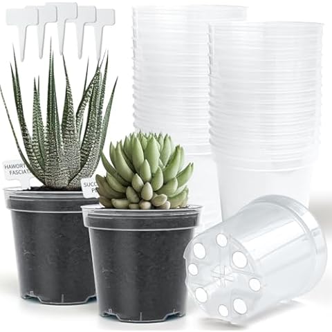 BTPLASTIK 7 Pack 8 Inch Clear Nursery Pots for Plants with Saucer Cover