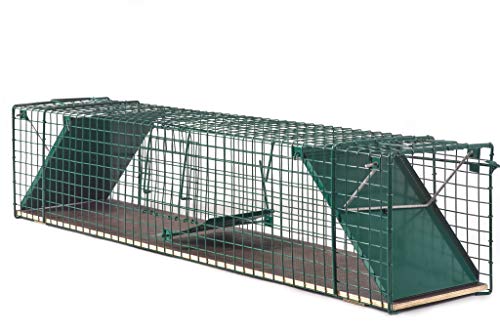 Waschbärfalle 116x26x28cm für Marder und Katzen