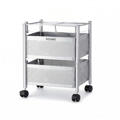 Amazon Brand - Solimo 360° Revolving Preassembled Heavy-Duty 2 Layer Square Portable Trolley with Wheels | Multipurpose Storage Racks | Books, Fruits and Vegetables (Matte,Silver)