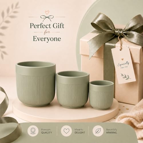 Image of Xtore Ceramic Ribbed Planter Set with Matte Finish | Modern Minimalist Flower Pots for Home, Office, Balcony & Living Room Decor - (Set of 3, Sage Green, Planter ONLY)