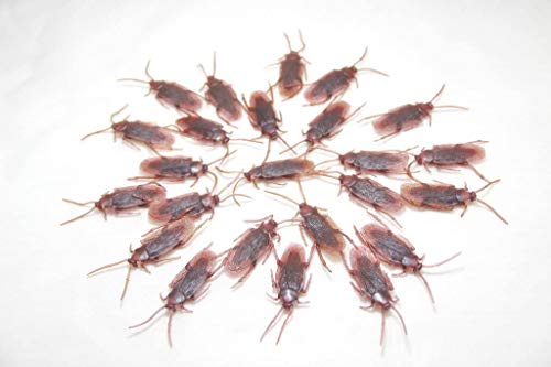 Time Roaming Fake Roach Pranks Plastic Cockroaches Gag Gifts, Pack Of 24 #TOP4