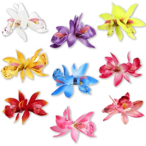 �V���r�W�E���t�����[�w�A�N���b�v�A9�s�[�X�A�{�w�~�A���r�[�`�w�A�A�N�Z�T���[�A�}���`�J���[