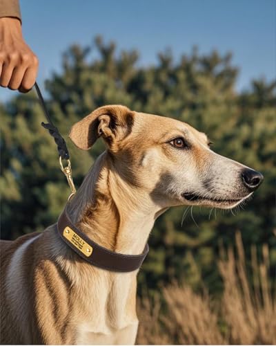 TagME Hundehalsband Personalisiert aus Leder mit Eingraviertem Hundename und Telefonnummer, Hundehalsband aus Echtem Leder für Mittlere Hunde