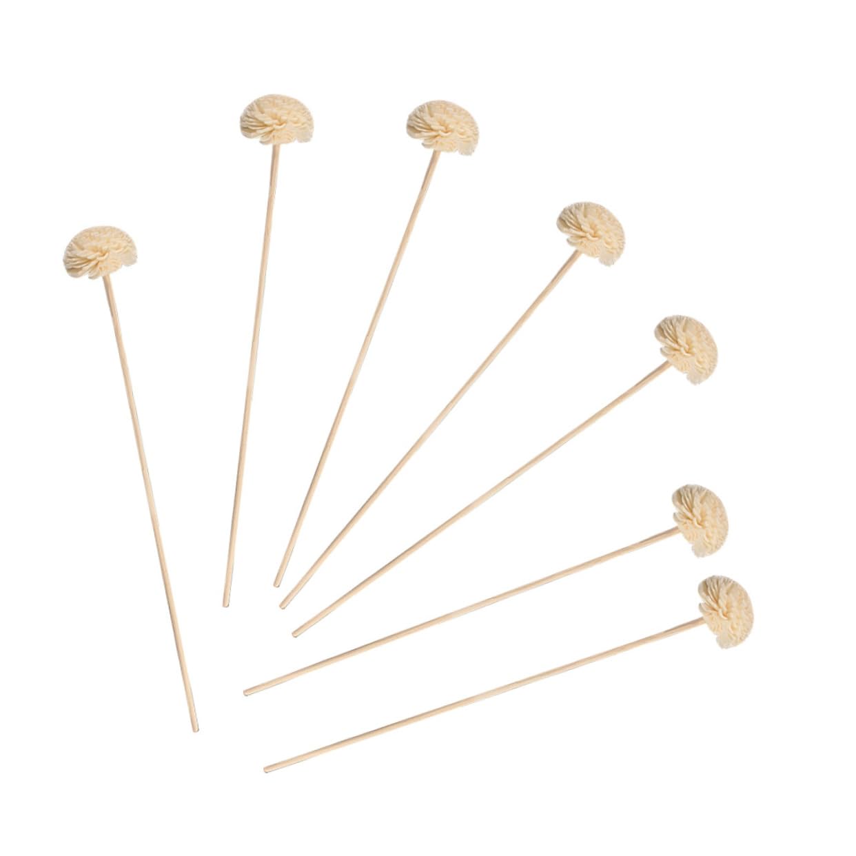 RORPOIR Flower Aroma Stick Diffuser Set 10pcs Essential Oil Sticks for DIY Aromatherapy Non-Flame Design