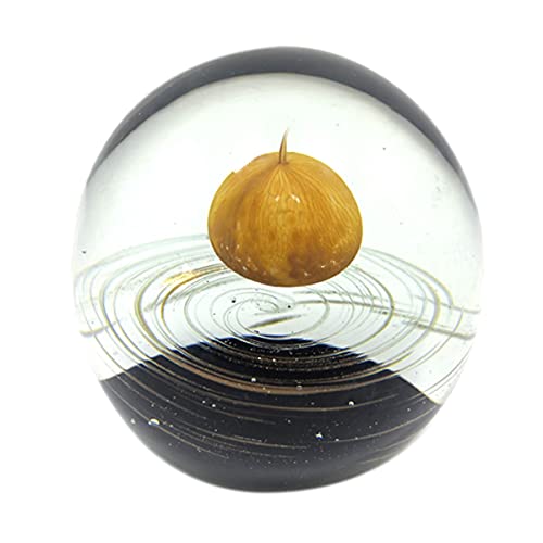 Vidal Regalos Fermacarte da scrivania in vetro 9