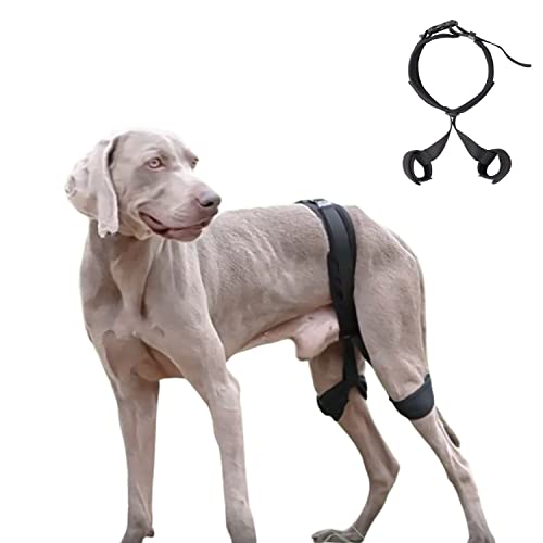 Image of Adjustable Dog Knee Brace,Dog ACL Hind Leg Brace,Support with Cruciate Ligament Injury, Joint Pain and Muscle Sore S