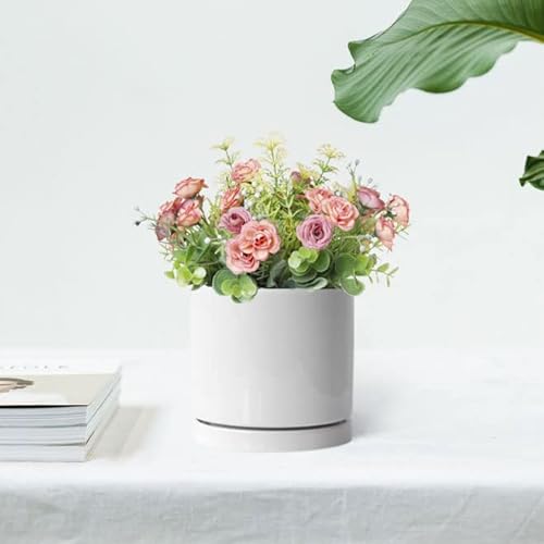 Aveyas 6 Inch Ceramic Planter Pot With Drainage Hole & Saucer, Glazed Mid Century Modern Cylinder Small Plants Pot For Indoor Desk Decorative Snake Flower Succulents Pots (6In Shiny White) #TOP1
