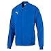 Produktbild Puma Herren FINAL Sideline Jacket Jacke, Electric Blue Lemonade Black, L