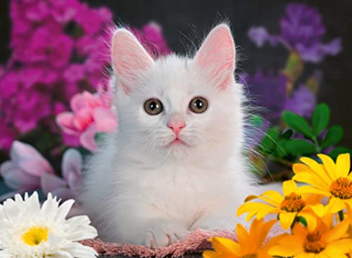 Puzzle 100 pièces : Chat à paillettes Collection Paillettes Ravensburger France - vue 5