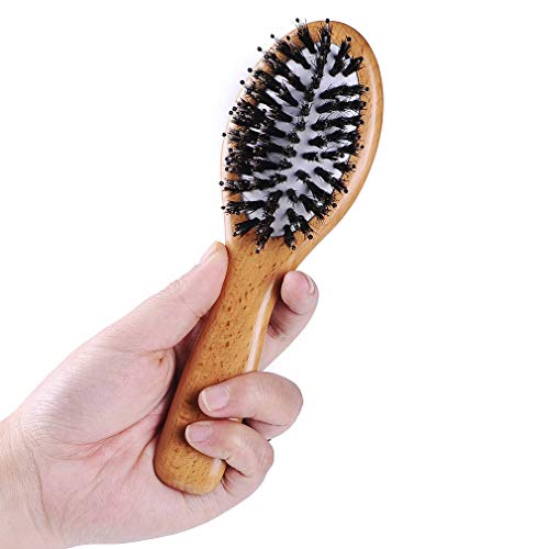 Boar Bristle Hair Brush Mini Beech Wood Hairbrush Small Pocket Detangling Hair Travel Brush Comb with Gift Box for Women Kids Men