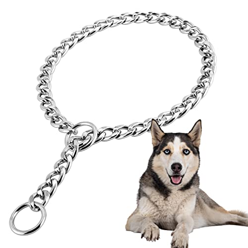 Reviews De Cadena Perro Los 5 Más Buscados. Las Mejores Reviews De