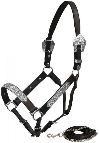 Showman Leather Show Halter w/Engraved Silver & Aqua Rhinestones