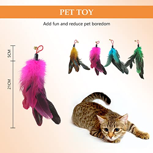 Giochi per Gatti,Gatto Interattivo