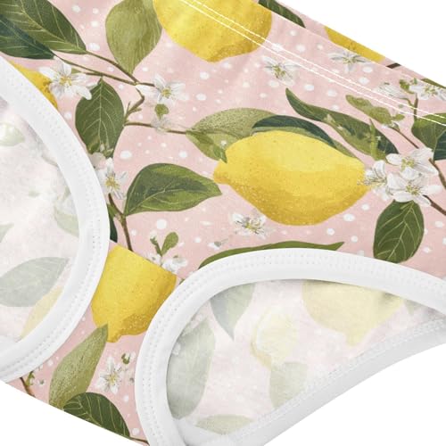 Wusikd Lemons Branches Girls' Underwear Cotton Flowers Girls Briefs Soft Toddler Underwear 2T4