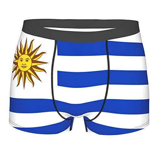 Flag map of Saint Lucia Mens Boxer Briefs Underwear Breathable Stretch Boxer Trunk with Pouch for Men, Youth