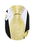 Barry.Wang Yellow Men Tie Sets Paisley Woven Silk Necktie Set with Pocket Suqare Cufflinks Formal