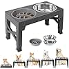 Elevated Dog Bowls with a Slow-feeder Bowl Adjustable to 5 Heights (3”, 9”, 10”, 11”, 12”) for Small, Medium, and Large Dogs - Gray
