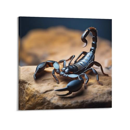 Poster scorpion noir 50x50 cm CMHONLY sur toile avec cadre pour mur salon
