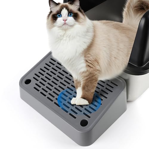 Bartuke LpgCXebvCtB^[@\tLpXebv^X[v^Lb`[CN[jOeՁCeLELɍœKi_[NO[j