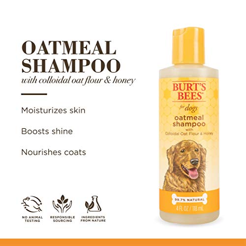 Burt's Bees for Dogs Natural Oatmeal Shampoo with Colloidal Oat Flour and Honey| Oatmeal Dog Shampoo, 4 Ounce Dog… - Image 4