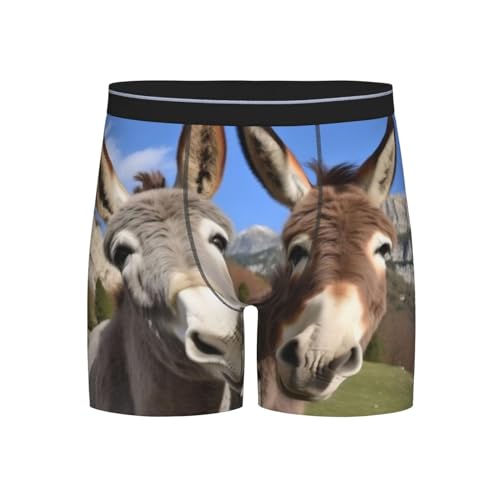 Men'S Long Leg Boxers Brief Novelty Underwear Comfort Fit Moisture Wicking Breathable Funny Donkeys 7