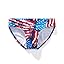 American Flag American Flag