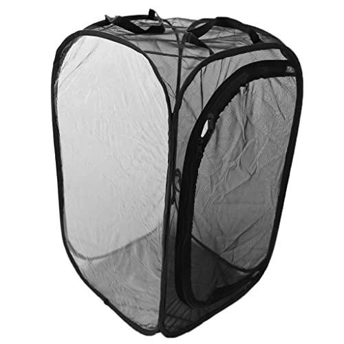 Fermeture éclair adaptée à l'observation nature pour cage insecte pliante - 7