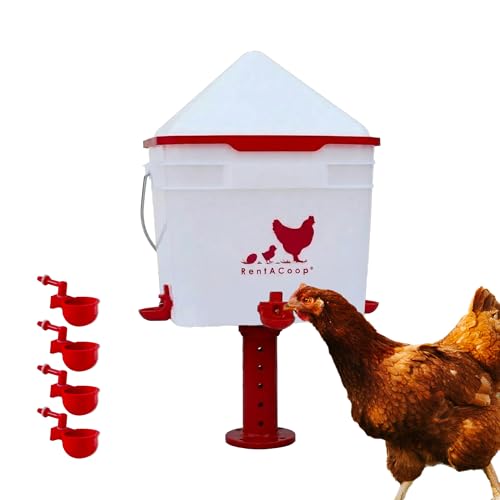 Rent-A-Coop 2 gallon Chicken Waterer with Horizontal Nipple