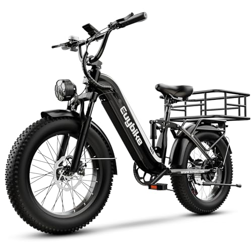 Kebiko 1500W Electric Bike for Adults,48V 20/60Ah Removable Battery Max