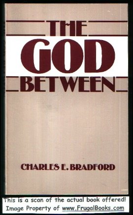 The God between 0828002436 Book Cover