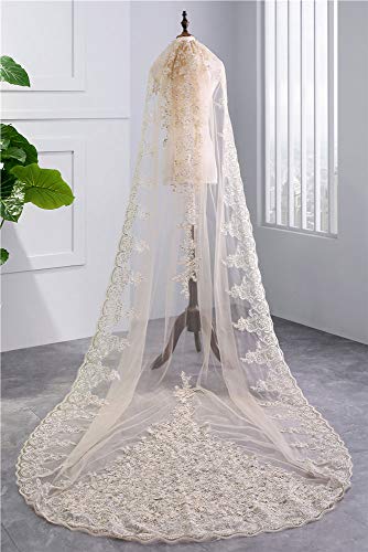 JFSKD Mariage Voile Champagne Paillettes Ivoire Blanc Dentelle Applique mariée Voile Accessoires de Robe de mariée,White Cover