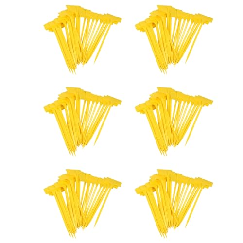Étiquettes pour plantes en plastique 300 Pcs marqueurs de semis et bonsaï