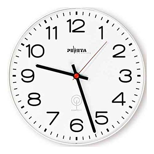 Preisvergleich Produktbild Peweta 51115311 Peweta Funkwanduhr Arab.Zahlen 30 1,5V 51.115.311