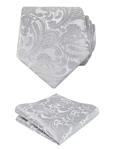 Alizeal Mens Paisley Floral Tie Handkerchief Wedding Woven Necktie Set Silver