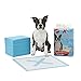 Ethical Pets X Marks The Spot Super Absorbent Puppy Training Pee Pads (100 Pack)