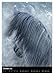 Mystical Horses (Wall Calendar 2026 DIN A2 High), CALVENDO Monthly Calendar: 12 Wonderful Dream Horses