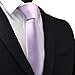 Branduce Lavender Tie for Men Solid Satin Ties Silk Blend Necktie for Wedding Business (TA11-04)
