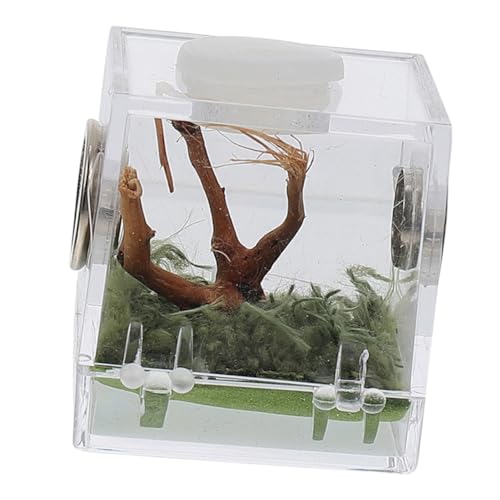 YARNOW 偎{bNX AN ঒ރGN[W[ ݌vŊώ@₷ ঒ p P[X