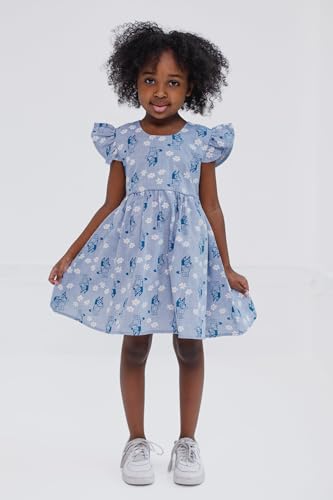 Bluey Floral Chambray Skater Dress Infant to Big Kid2