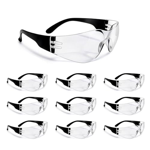 BIRDDIE 10 Stück Schutzbrillen, Anti-Beschlag Transparent Sicherheitsbrille