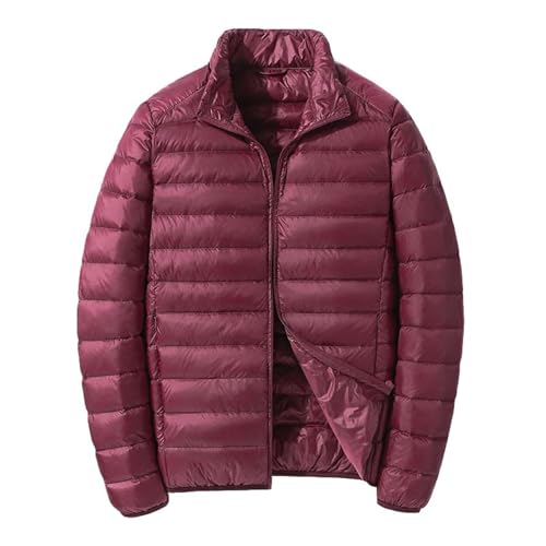 Genérico Chaquetones De Hombre Plumas, Anorak Hombre Impermeable, Sin Capucha con Cremallera Espesamiento Talla Grande Chaqueta Plumas Color Sólido Casual Cómodo Abrigo Adecuado para Uso Diario
