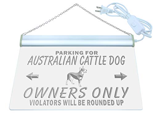 ADVPRO Australian Cattle Dog Owner Only LED Neon Sign Red 24 x 16 Inches st4s64-n110-r