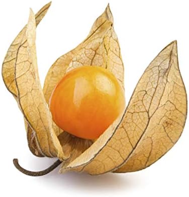 Ground Cherry Tomatillo 125 Seeds or 1/4 Gram - Heirloom Non GMO Cape Gooseberry Seeds, Golden Berry Plant Seeds, Vegetable Seeds for Planting, Cherry Fruit Physalis Seeds